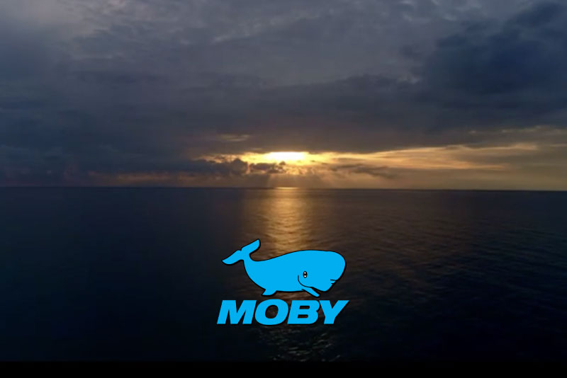 Moby